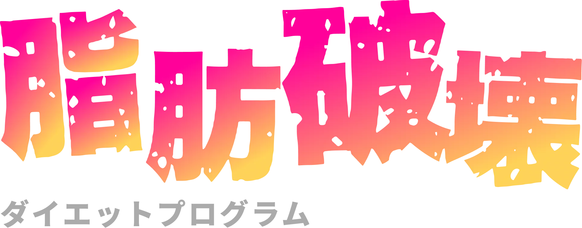 脂肪破壊ダイエットプログラム